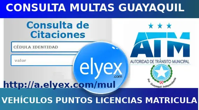 Consulta Multas Guayaquil ATM Autoridad Tránsito Municipal Online Internet