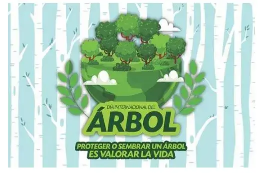 El Día del Árbol en Ecuador (22 de Mayo)