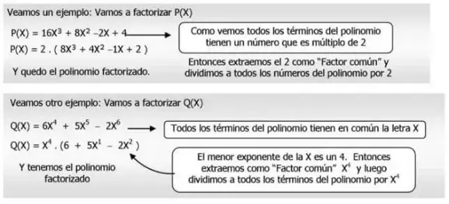 Factoreo por factor común - Los 10 Casos de Factorización