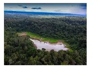 Principales Ecosistemas del Ecuador - Bosque siempreverde piemontano.