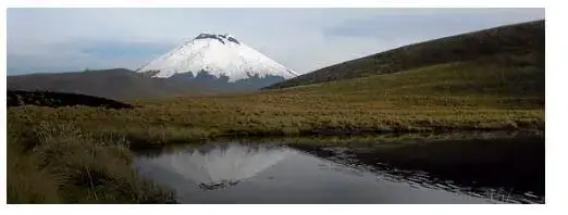 Principales Ecosistemas del Ecuador - Páramo.