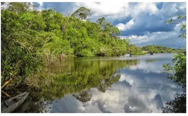Reservas Naturales y Ecológicas del Ecuador - La Reserva de Cuyabeno