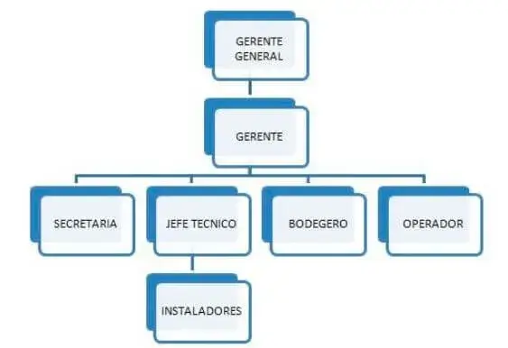 Tipos de Organizadores Gráficos creativos 2023