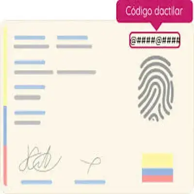 código dactilar