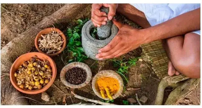 La Diversidad Cultural del Ecuador - Medicina tradicional 2