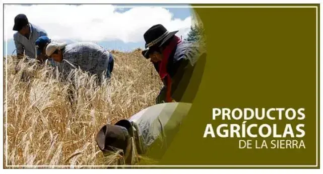 Productos Agrícolas de la Sierra Ecuatoriana (lista)
