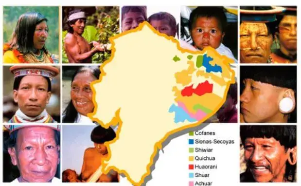 Pueblos y Nacionalidades Indígenas de la Amazonía