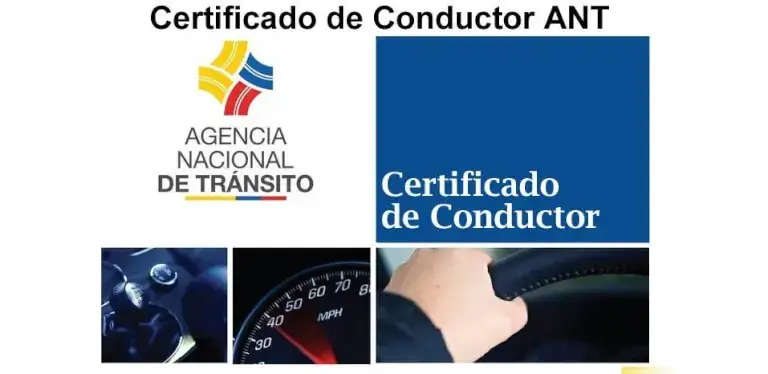 certificado de conductor ant
