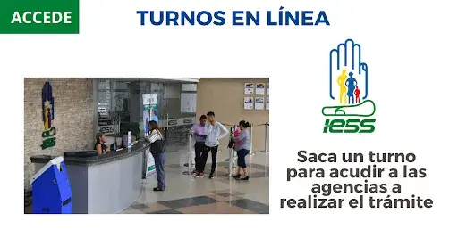 turnos en línea iess