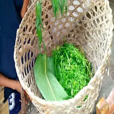 quijos señoríos étnicos ecuador