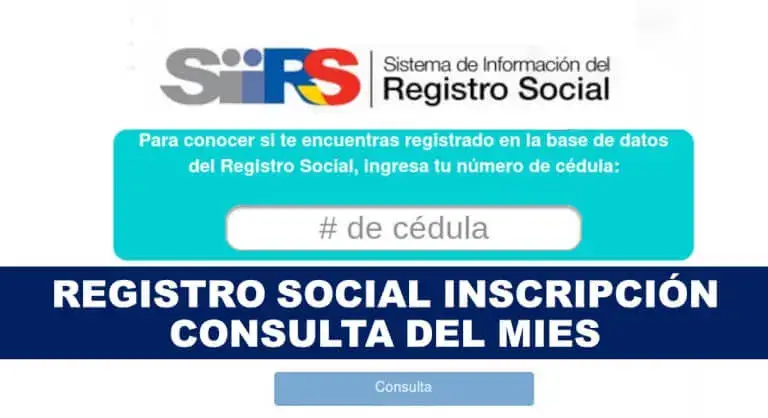 registro social consultas