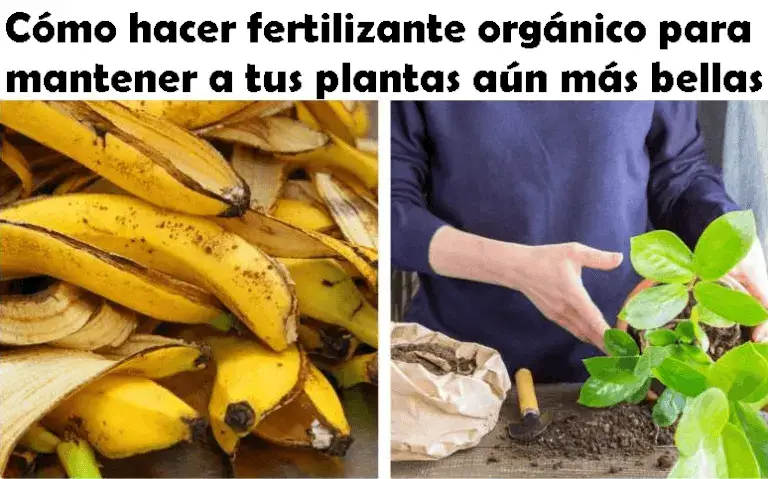 cómo hacer fertilizante orgánico