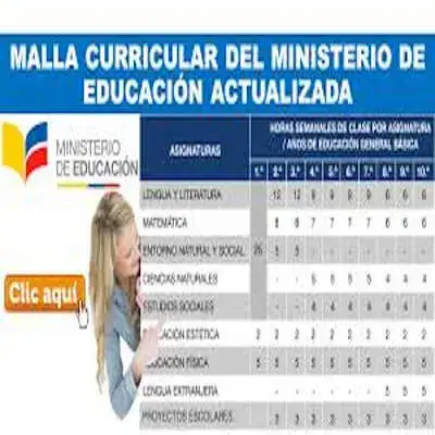 malla curricular actualizada mineduc