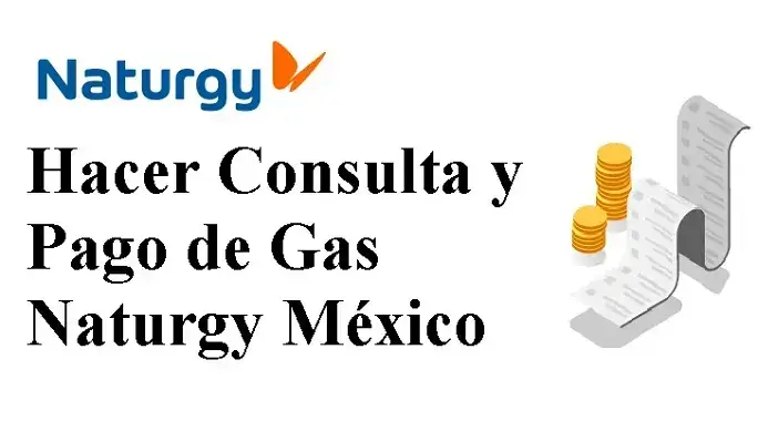 estado cuenta consulta pago gas naturgy