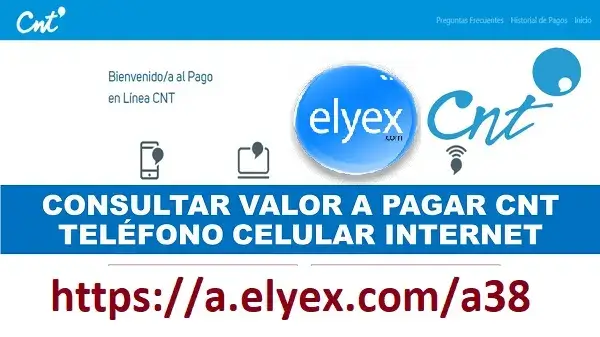 Consultar Valor a Pagar CNT