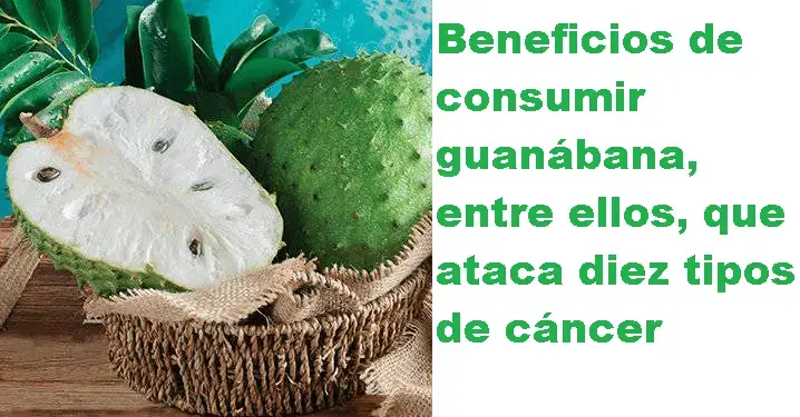 beneficios de consumir guanábana