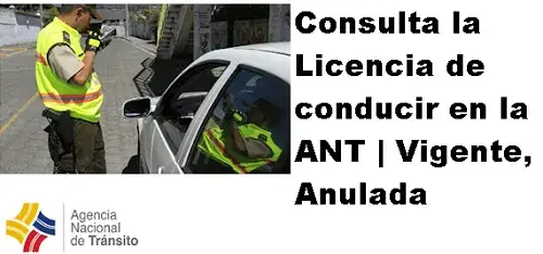 licencia de conducir en la ant