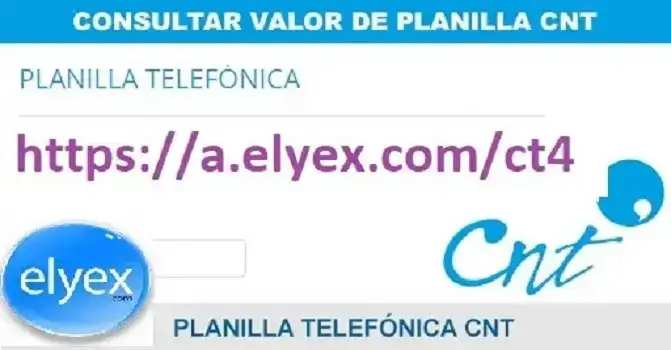consultar valor planilla cnt
