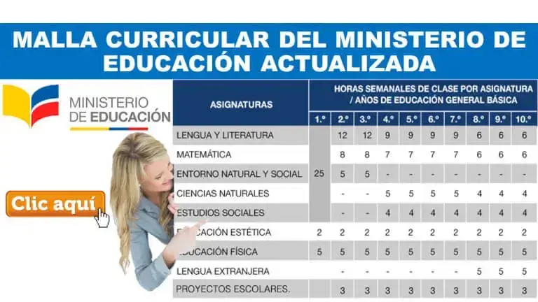 malla curricular