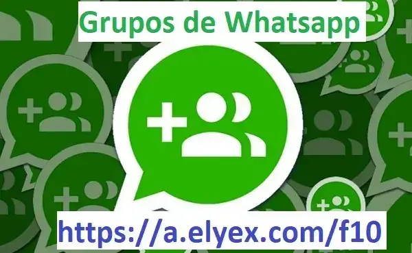 grupos whatsapp consultas ecuador