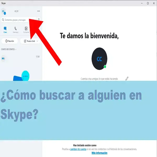 buscar a alguien en skype