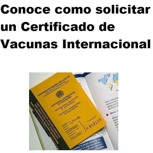 certificado de vacunas internacional
