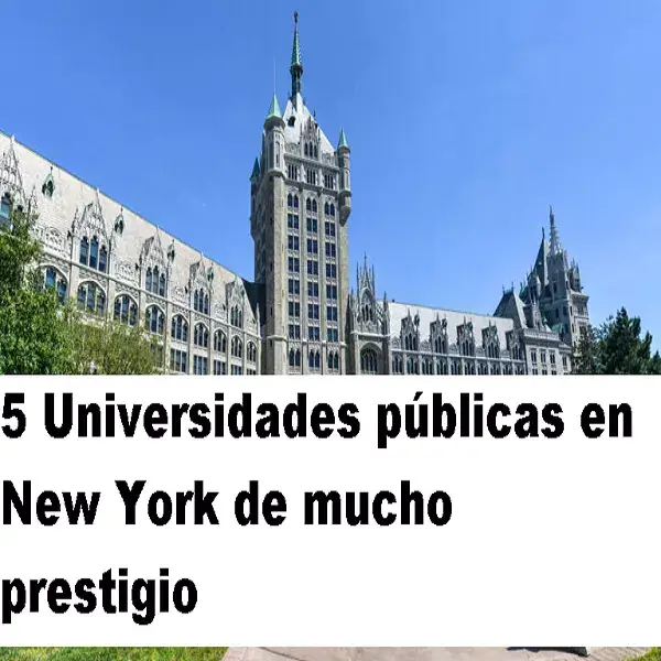 universidades públicas en new york