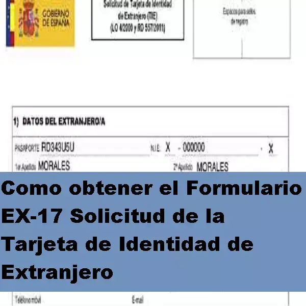 Formulario EX 17