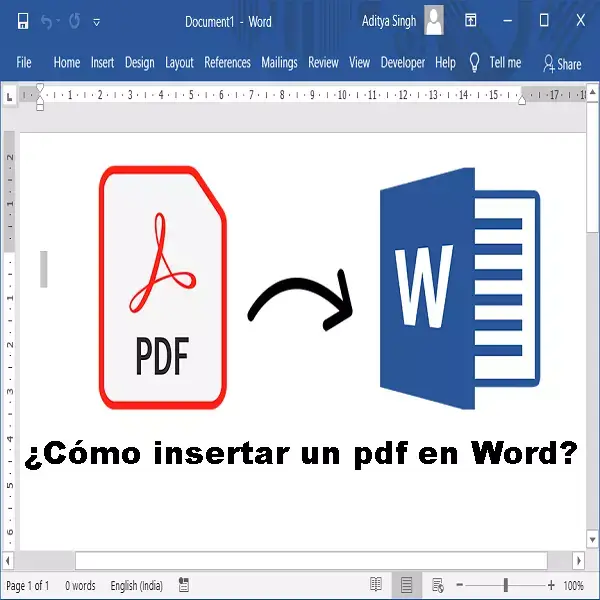 cómo insertar un pdf en word