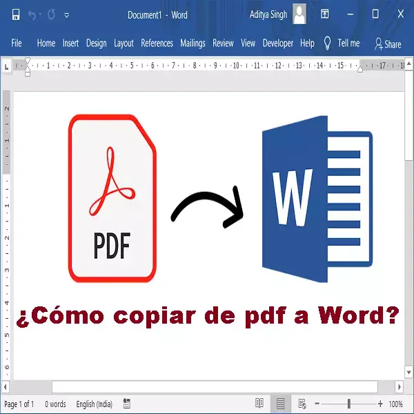 copiar de pdf a word