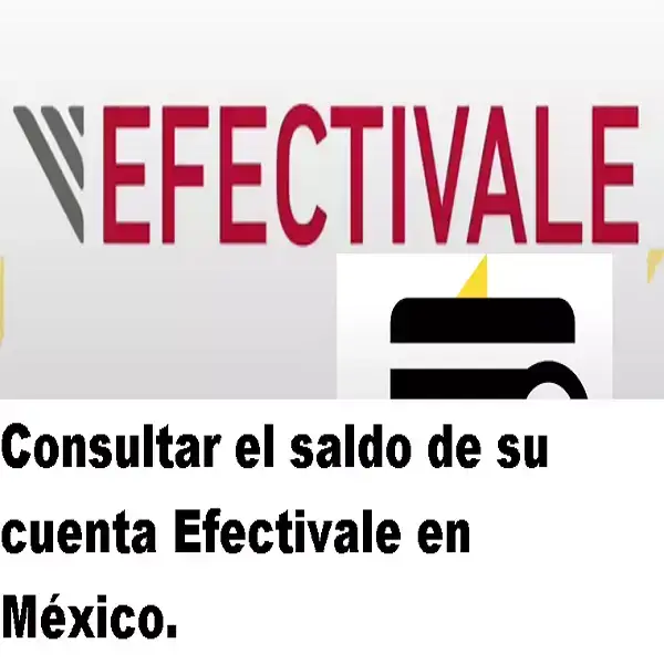 apagado cristal Detener Saldo de su cuenta Efectivale en México. 2022