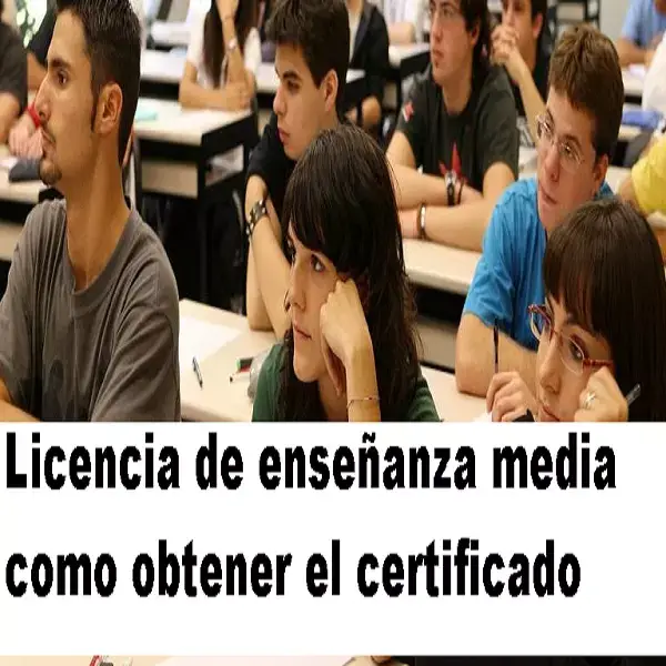 licencia de enseñanza media
