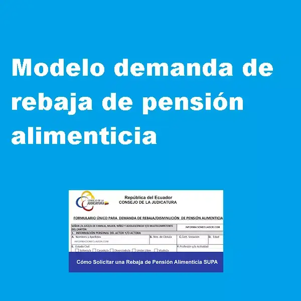 modelo demanda de rebaja de pensión