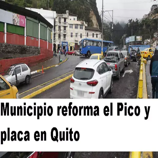 municipio reforma el pico y placa