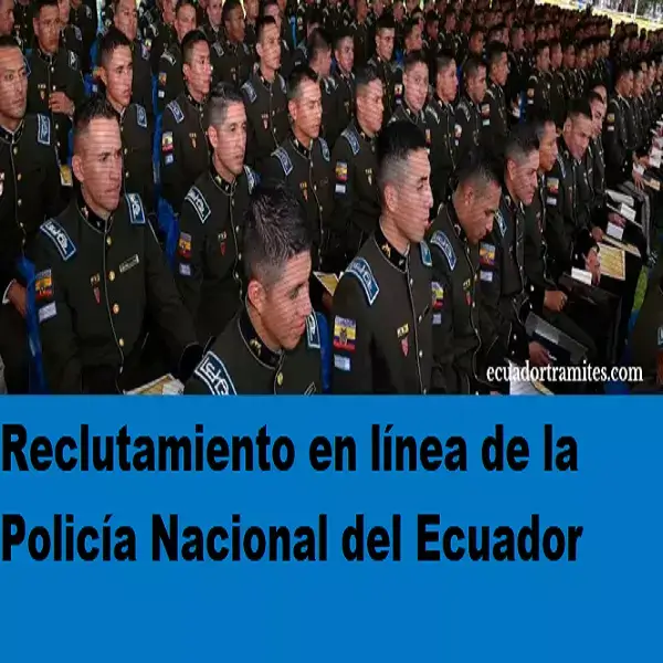 reclutamiento en línea