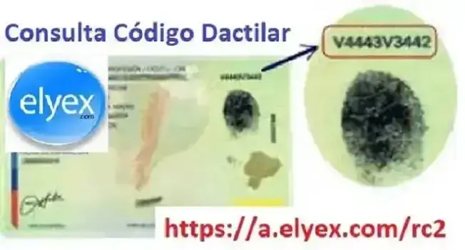 consultar código dactilar cédula ecuador