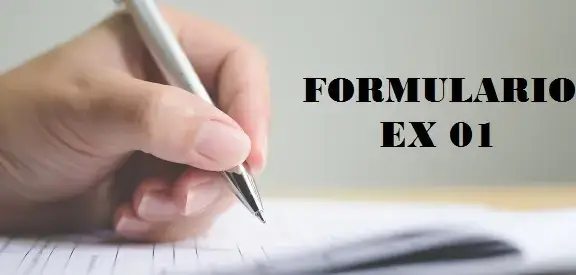 rellenar formulario EX 01