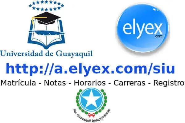 matricula horario universidad guayaquil
