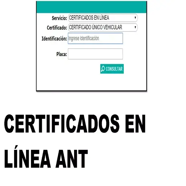 certificados en línea ant