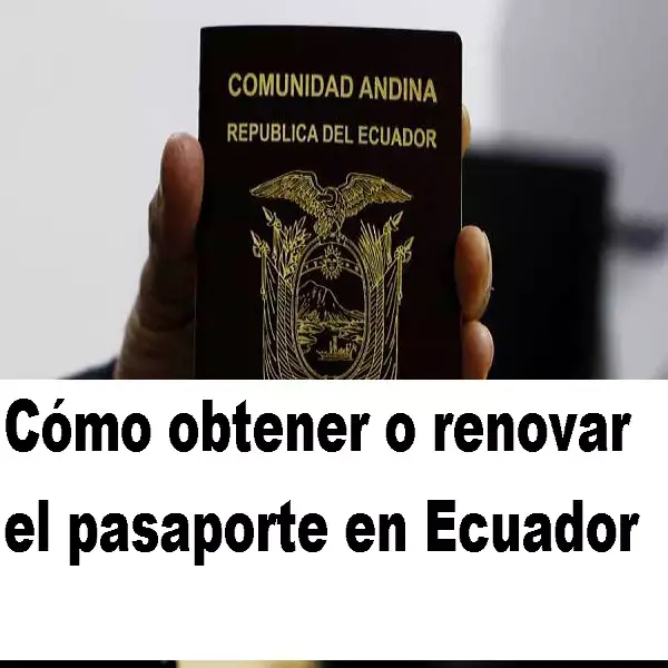 obtener o renovar el pasaporte