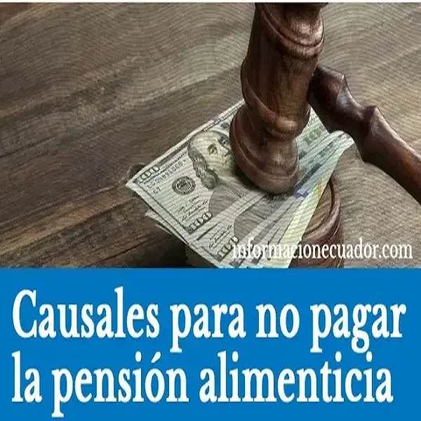 causales pension