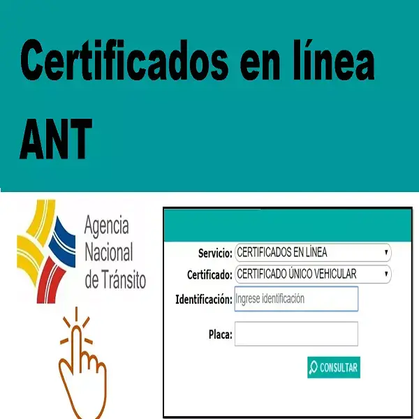 certificados vehicular línea ant