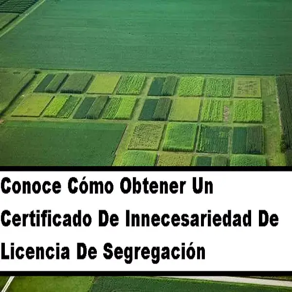 certificado de innecesariedad