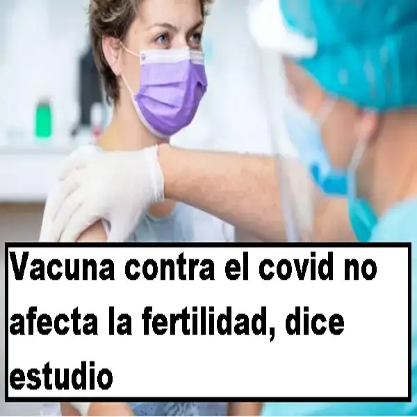 vacuna contra el covid no afecta la fertilidad