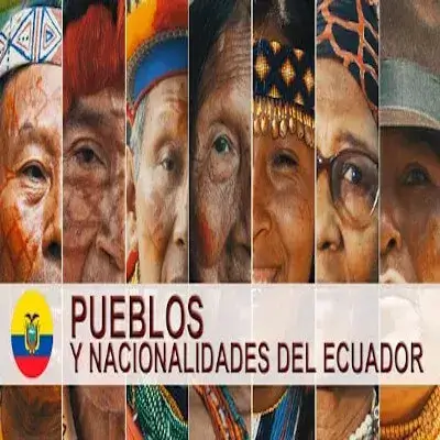 pueblos nacionalidad ecuador consulta