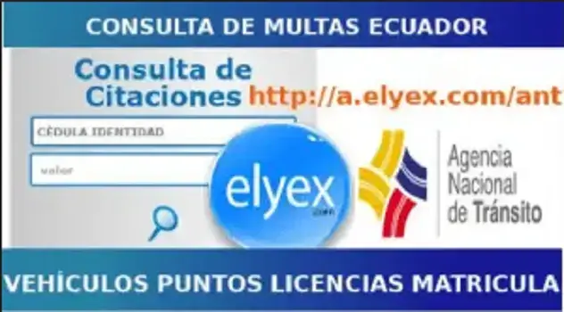 consulta multas ecuador licencia matricula