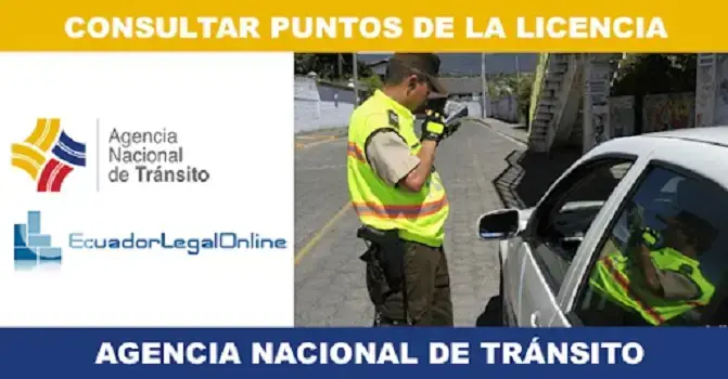 consultar puntos licencia ant