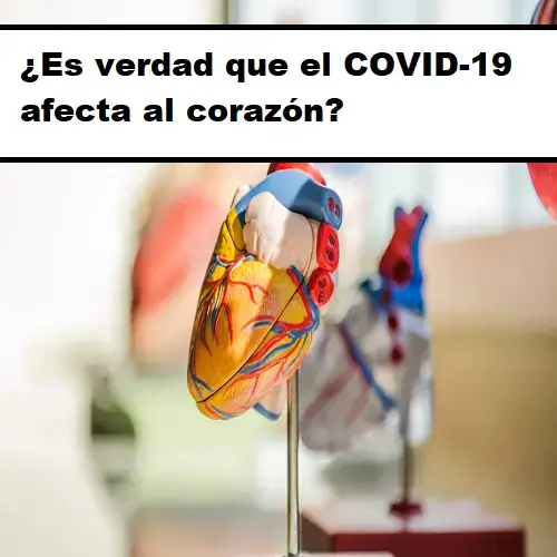 covid -19 afecta al corazón