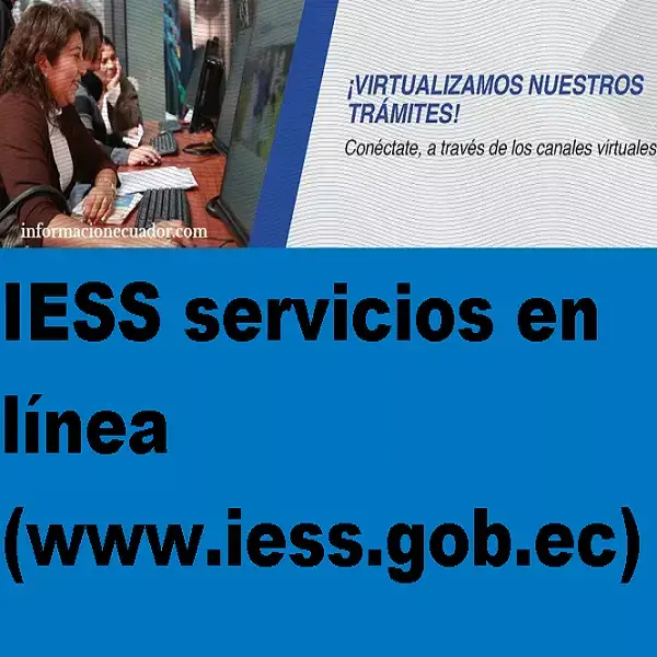 iess servicios linea consulta