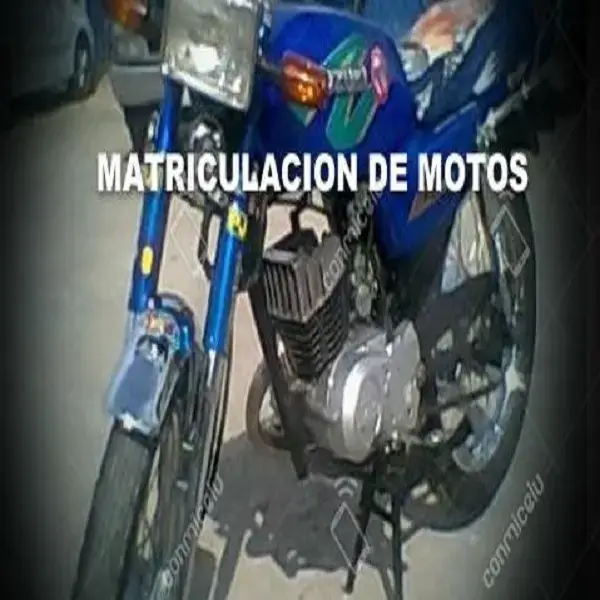 matriculacion motos